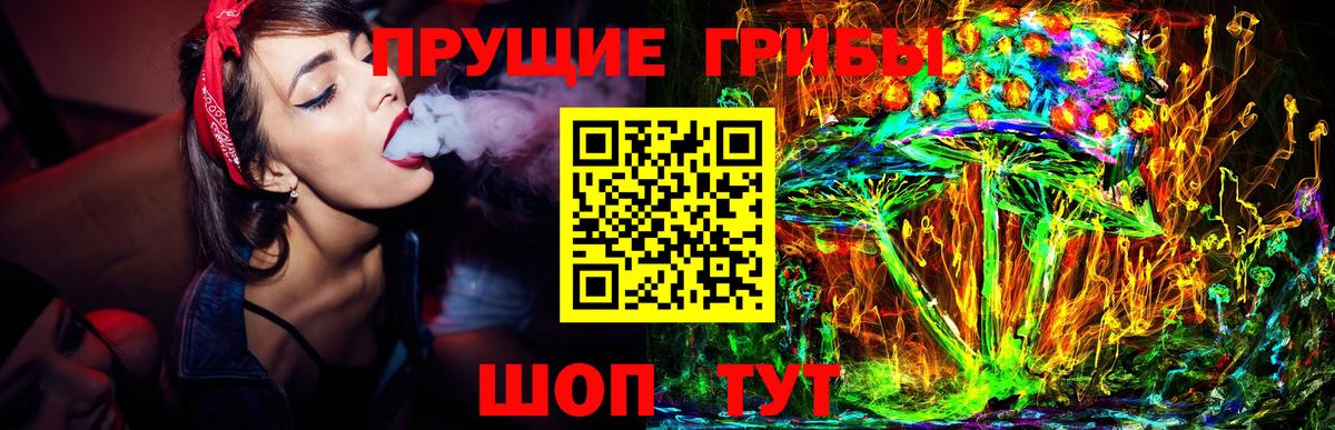 Галлюциногенные грибы прущие грибы  Вход с VPN  Чернушка  Псилоцибиновые грибы ЛСД 