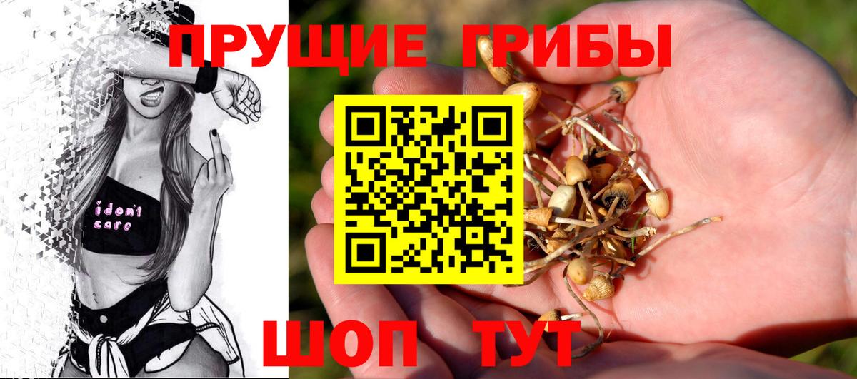 Галлюциногенные грибы Magic Shrooms Чернушка